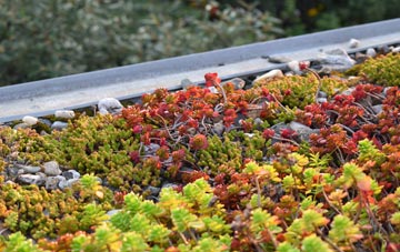 the cost of Roughlee green roof installation