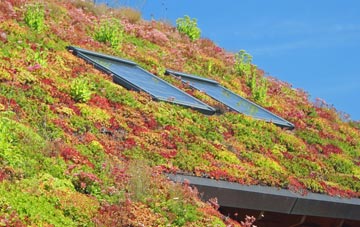 Roughlee living roof systems
