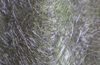 Roughlee fibreglass roof work